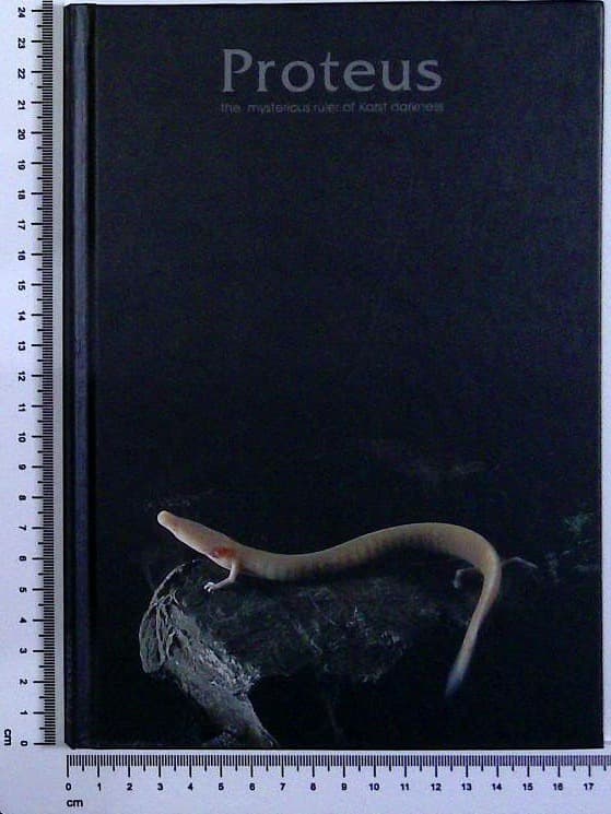 Proteus the mysterious ruler of Karst darkness