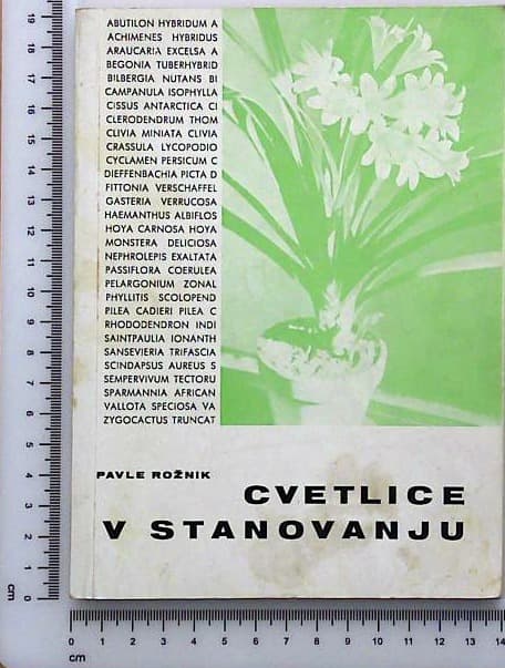 Cvetlice v stanovanju