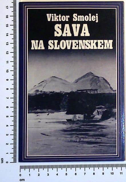 Sava na Slovenskem