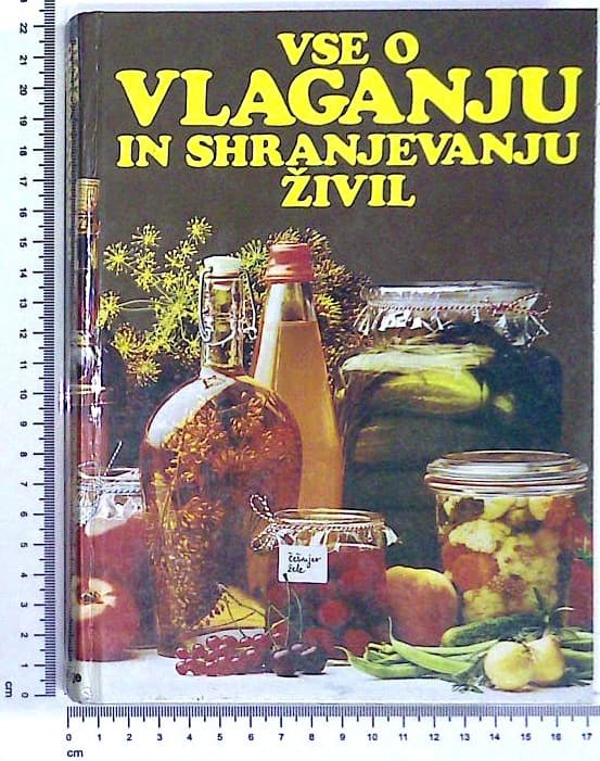 Vse o vlaganju in shranjevanju živil