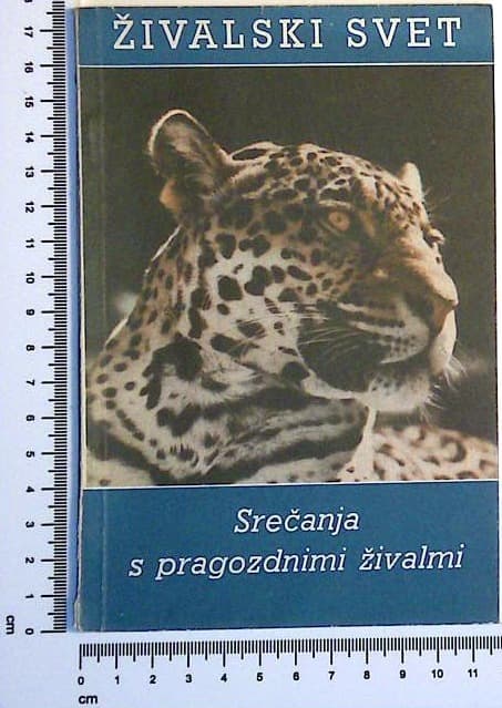 Živalski svet - srečanja s pragozdnimi živalmi