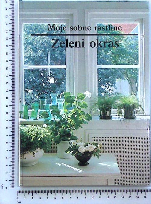 Moje sobne rastline / Zeleni okras