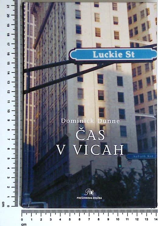 Čas v vicah