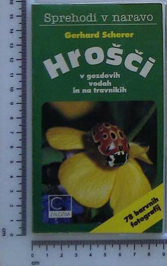 Hrošči