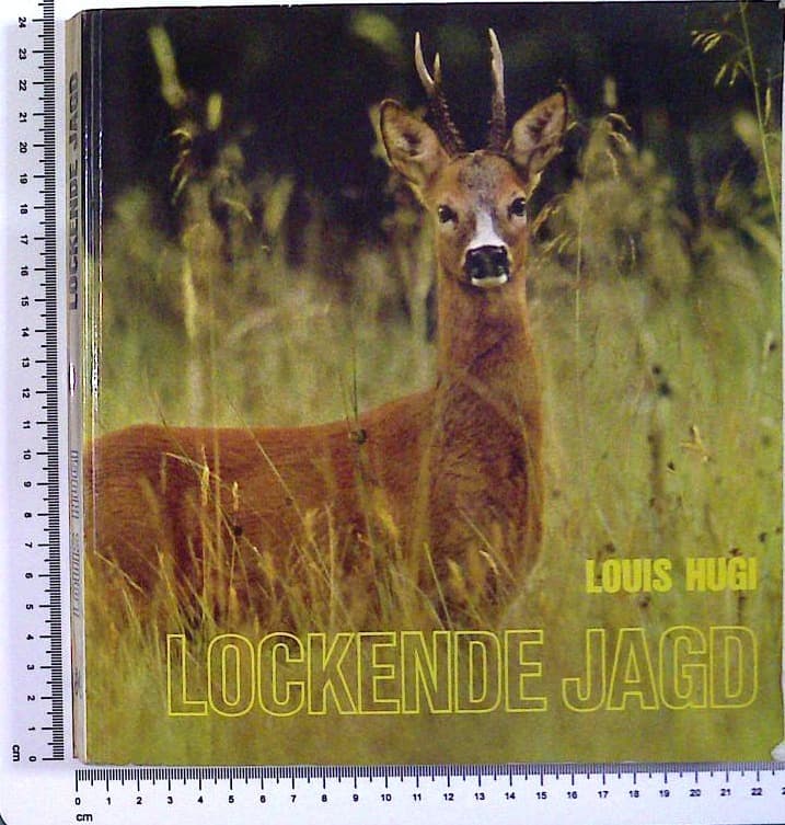 Lockende Jagd