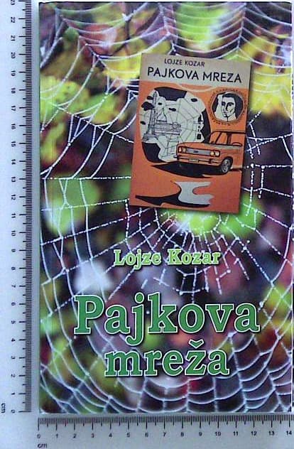 Pajkova mreža