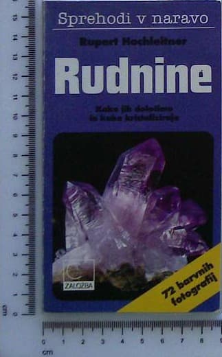Rudnine