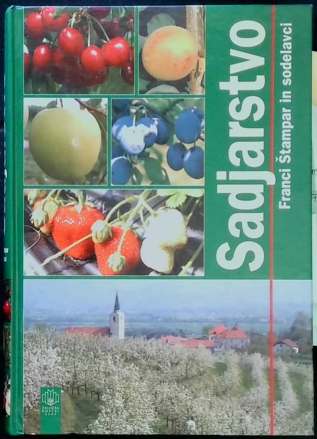 Sadjarstvo