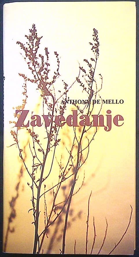Zavedanje