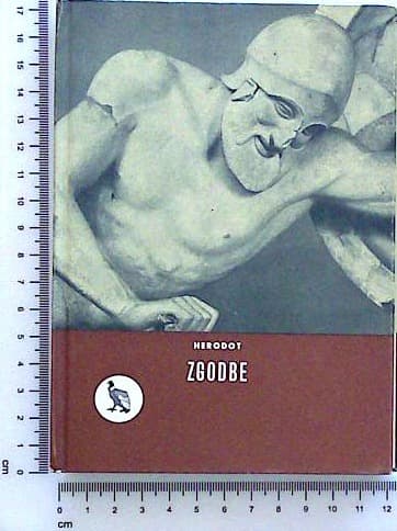 Zgodbe