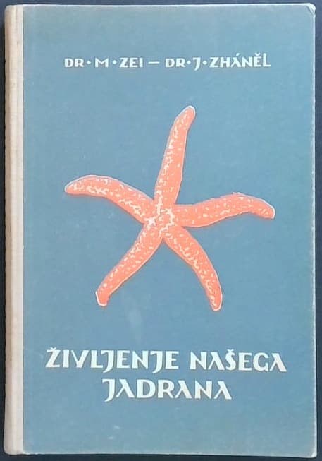 Življenje našega Jadrana