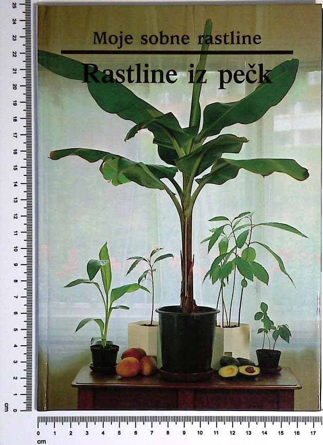 Moje sobne rastline / Rastline iz pečk