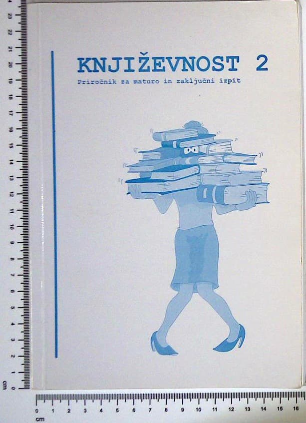 Književnost 2 : Priročnik za maturo in zaključni izpit