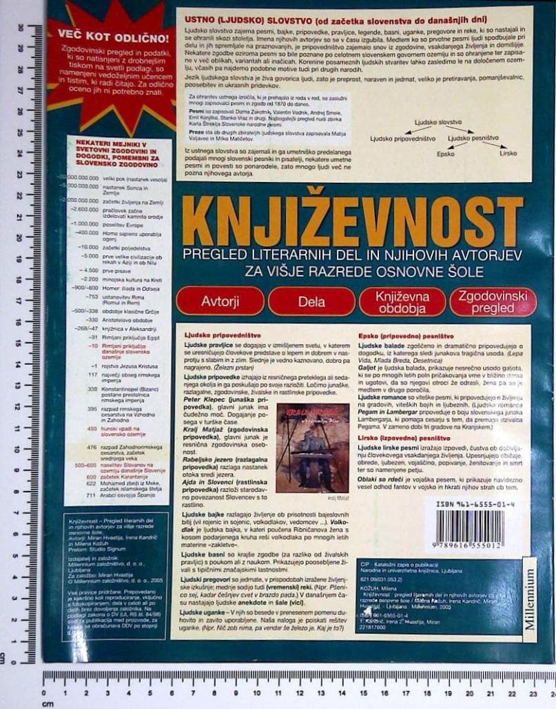 Književnost : Pregled literarnih del in njihovih avtorjev za višje razrede osnovne šole