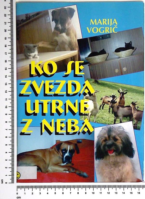 Ko se zvezda utrne z neba
