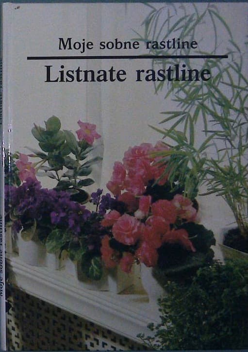 Moje sobne rastline / Listnate rastline