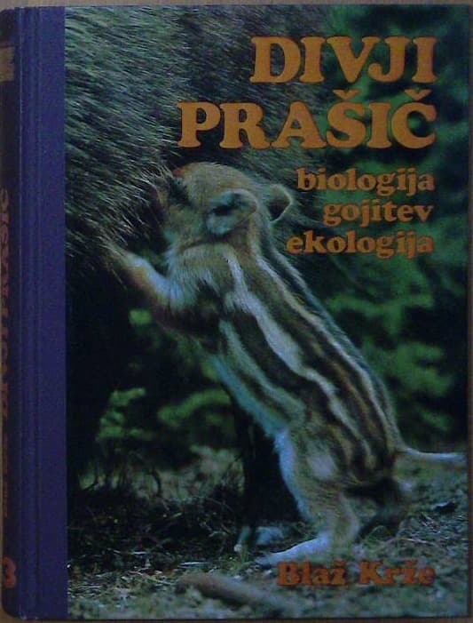 Divji prašič