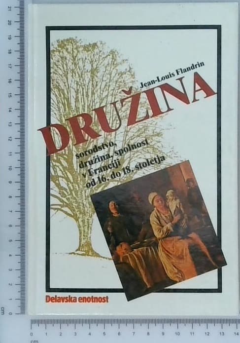 Družina - sorodstvo, družina, spolnost v Franciji od 16. do 18. stoletja