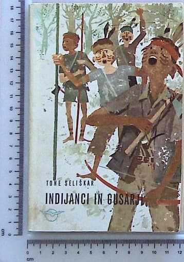Indijanci in gusarji