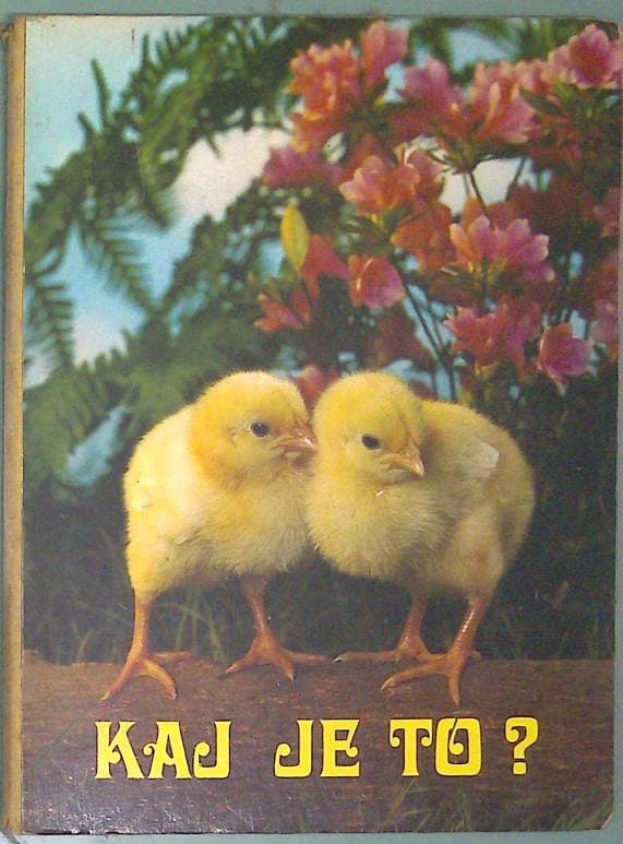 Kaj je to