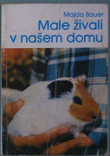 Male živali v našem domu