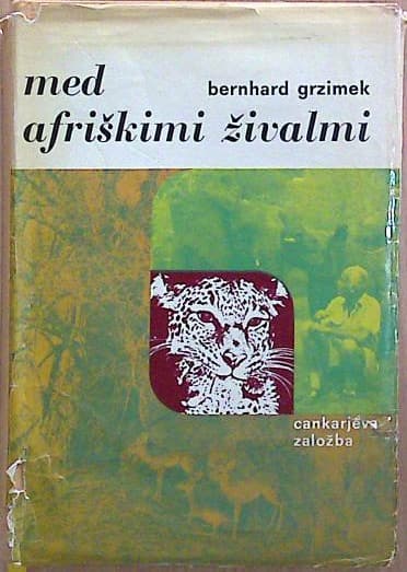 Med afriškimi živalmi