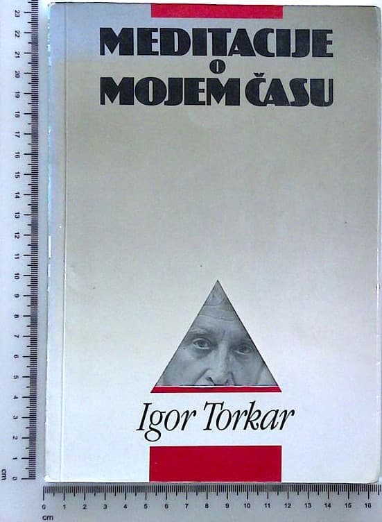 Meditacije o mojem času