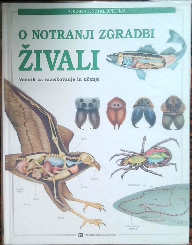 Šolska enciklopedija. O notranji zgradbi živali : vodnik za raziskovanje in učenje