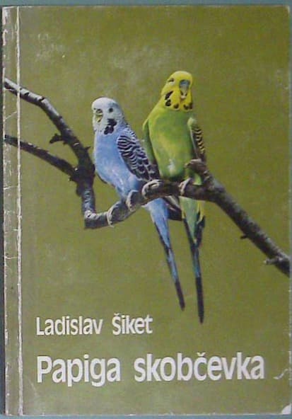 Papiga skobčevka