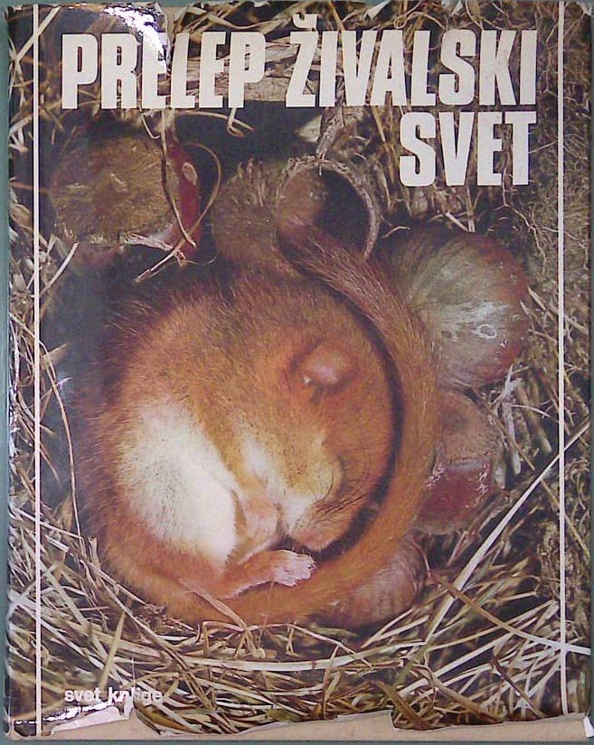 Prelep živalski svet