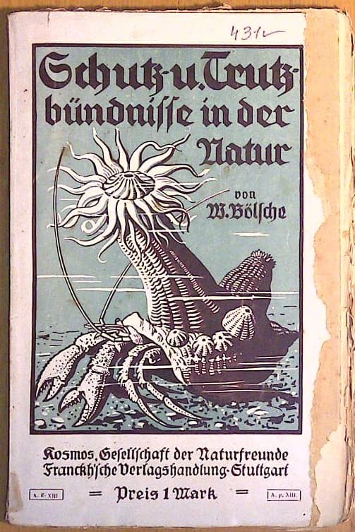 Schutz- und Trutzbündnisse in der Natur
