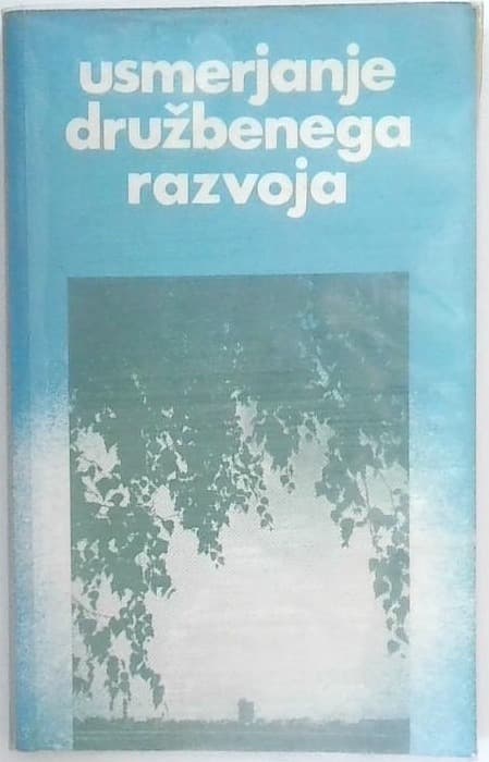 Usmerjanje družbenega razvoja : družboslovne razprave