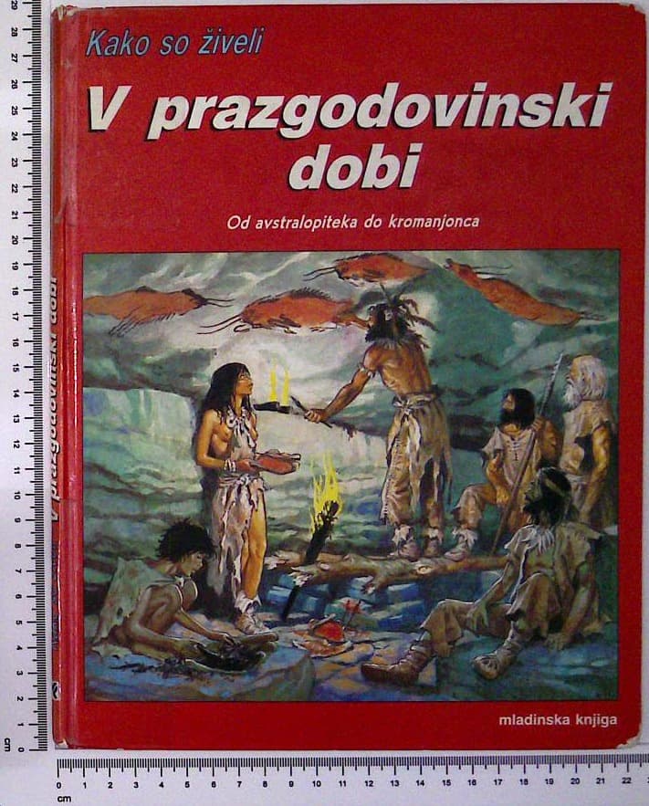 V prazgodovinski dobi